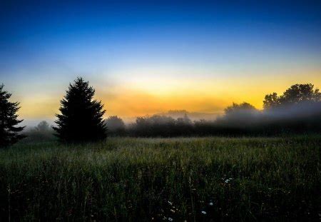 Early Morning - Fields & Nature Background Wallpapers on Desktop Nexus (Image 1116593)