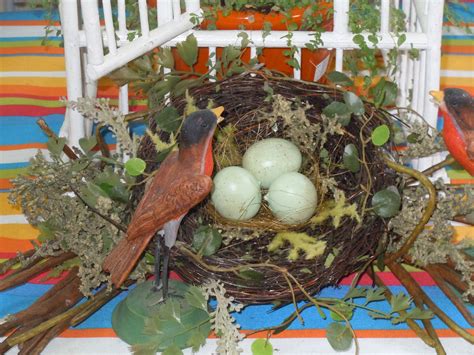 Robins bird nest | Robin bird, Bird nest, Bird