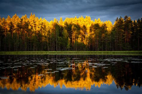 Green trees, Trees, Lake, Autumn HD wallpaper | Wallpaper Flare