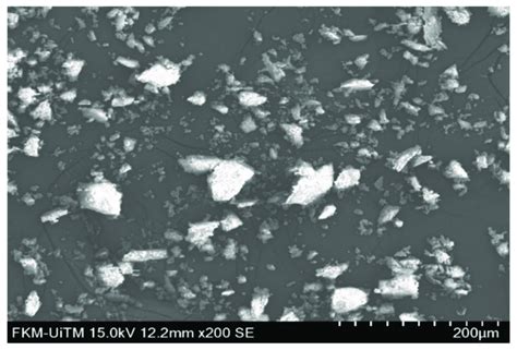 SEM image of granite dust. | Download Scientific Diagram