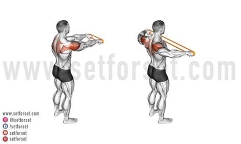 Cable Rear Delt Fly: How To, Muscles Worked, & Variations - SET FOR SET