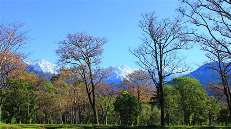 Trekking Banned In Kangra Valley, Himachal Pradesh. Here's Why