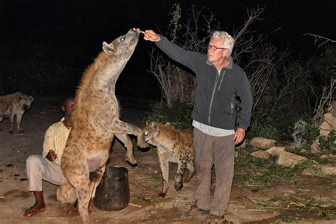 Welkom in Harar, de enige stad ter wereld waar hyena's welkom zijn - Curioctopus.nl