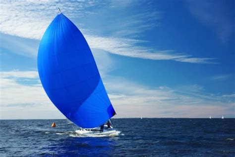 10 Different Types of Sails (Plus Interesting Facts)