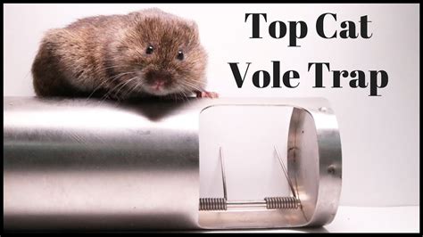 Garden & Patio Weed & Pest Control 8 x Vole Trap Badische Gand Duchy Wire Trap for Voles Field ...