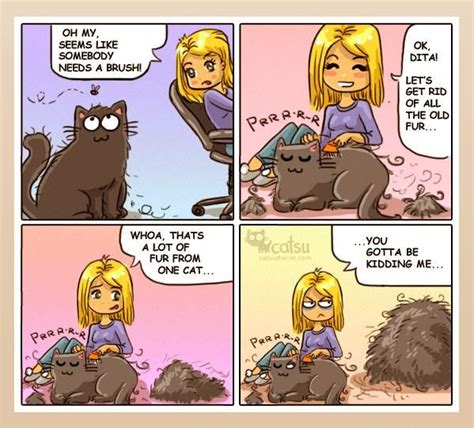 Comics | Catsu The Cat | Cat mom, Funny cats and dogs, Crazy cats