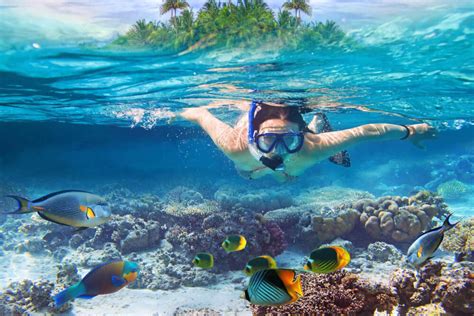 Top 9 Locations for the Best Snorkeling on Kauai - Hawaii Travel with Kids