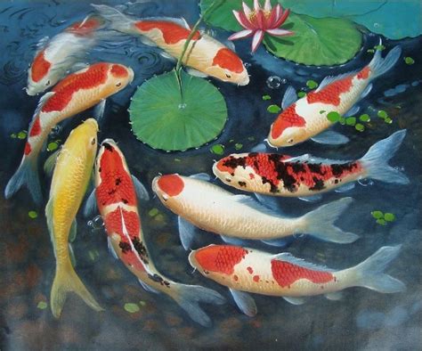 Gambar Lukisan Ikan Koi yang Cantik dan Indah