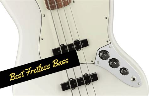 The Best Fretless Bass Guitars in 2021 You Will Love - Guitar Space