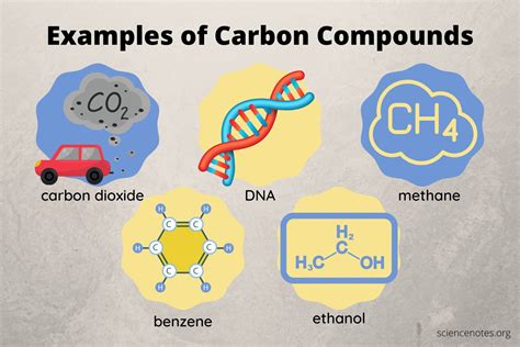 Carbon Compounds and Examples