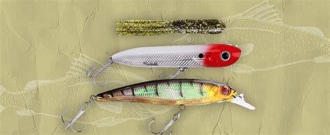 Best Smallmouth Bass Lures to Try | FindyourFish