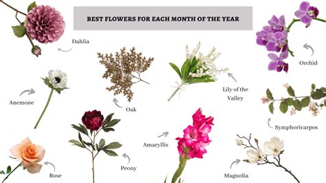 Here are The Best Flowers for Each Month of the Year - Make Happy Memories