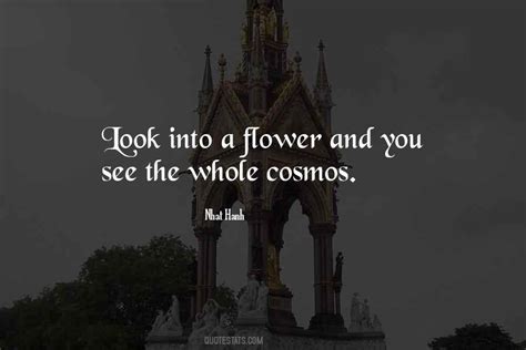 Top 18 Cosmos Flower Quotes: Famous Quotes & Sayings About Cosmos Flower