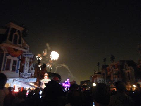 1,000 Pictures of Disneyland - Fireworks