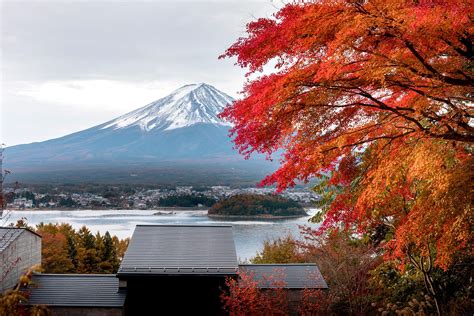 Fall Foliage Japan 2024 Forecast - Sybyl Eustacia