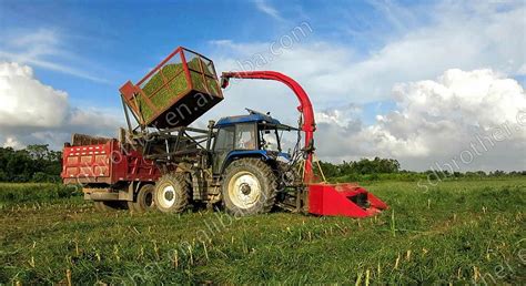 Silage Harvester, China Silage Maize harvester manufacturer