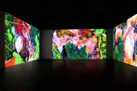 Second Nature [Video Installation] – Mira Alibek