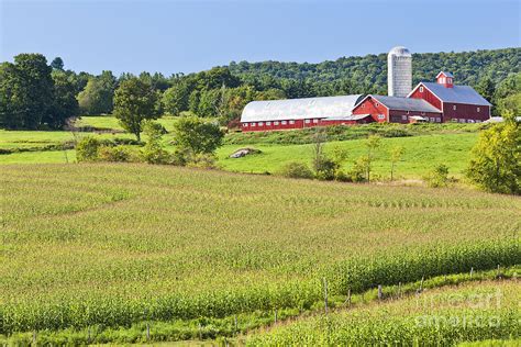 Vermont Farm Landscape Photograph by Alan L Graham - Pixels