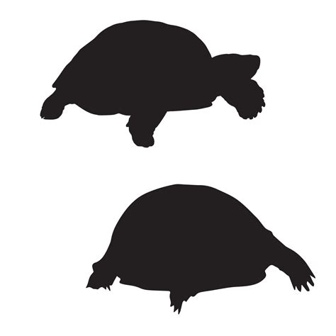 Turtle tortoise silhouette art 7193841 Vector Art at Vecteezy