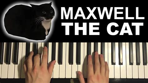 Maxwell The Cat Meme Song Chords - Chordify