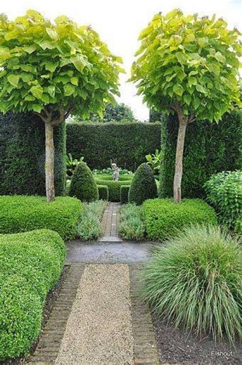 Best Trees For Small Gardens