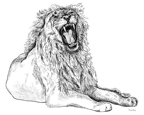 Printable Art, Roaring Lion Drawing, 16x20inches Instant Download Graphic Design Wall Art Print ...