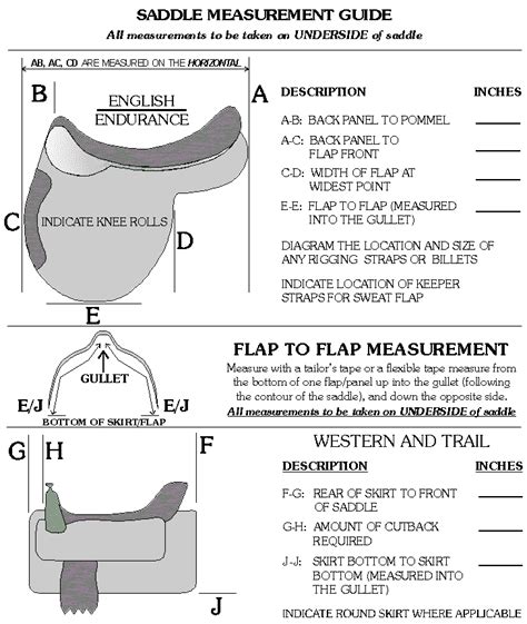 Measuring Saddles (Level 3) | Horse information, Saddle fitting, Horse training