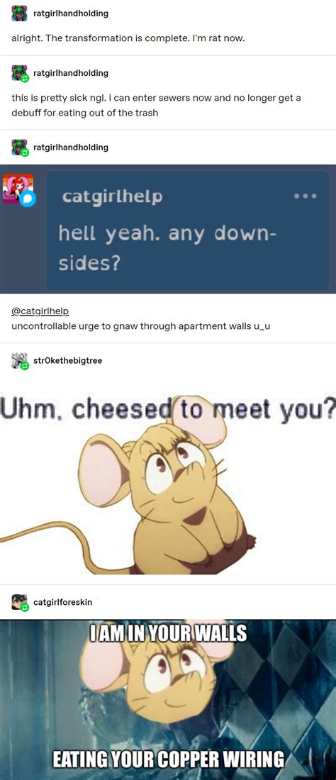 i'm da giant rat that makes all of the rules : r/CuratedTumblr