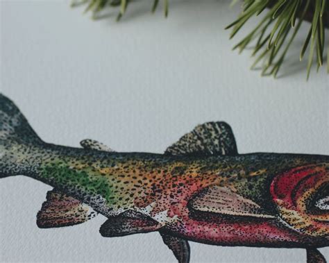 Cutthroat Trout ART PRINT / 5x7 8x10 Giclée Watercolor | Etsy | Trout art, Art prints, Fish ...