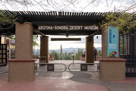 Arizona-Sonora Desert Museum – AdamMartin.SPACE