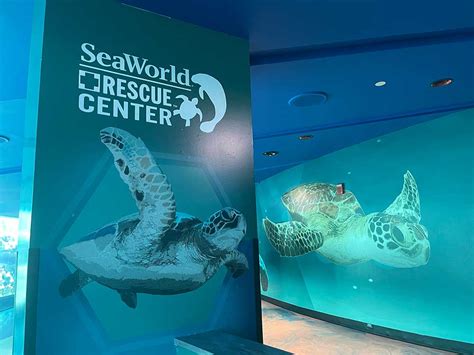 Dive into Ocean Conservation: SeaWorld Orlando Unveils Its First Coral Rescue Center for Park Guests