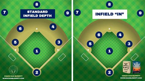 The 9 Baseball Positions: A Complete Guide - Numbers, Body Types, Skills & More