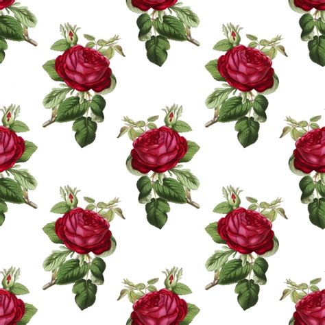 Red Roses Vintage Background Free Stock Photo - Public Domain Pictures