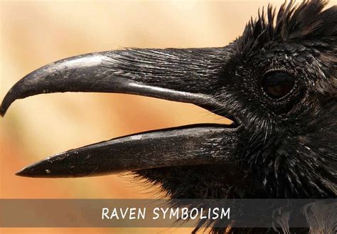 The Symbolism of the Raven - The Easy Guide To Understanding