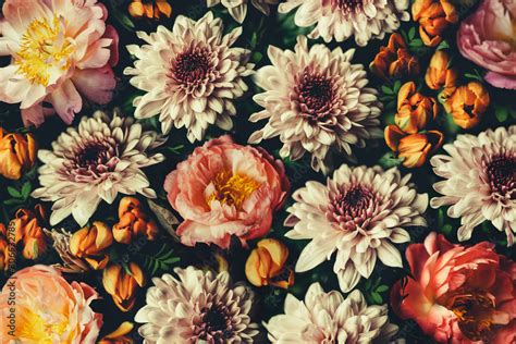 Vintage Flowers Desktop Background | Best Flower Site