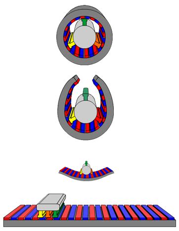 Linear motor - Wikiwand