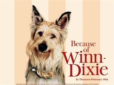 What Dog Breed is Winn-Dixie