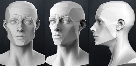 http://www.google.co.in/blank.html | Planes of the face, Anatomy for ...