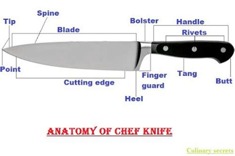 What are the parts of a chef knife? What is knife anatomy? - Diva Eats World