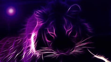 Neon Purple Wallpapers - Top Free Neon Purple Backgrounds - WallpaperAccess