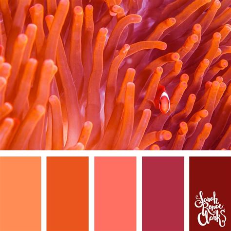 25 Color Palettes Inspired by Ocean Life and PANTONE Living Coral | Coral colour palette, Ocean ...