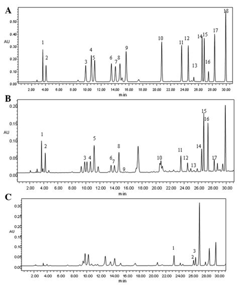 Amino acid chromatography in various samples. (A) Chromatography of the... | Download Scientific ...