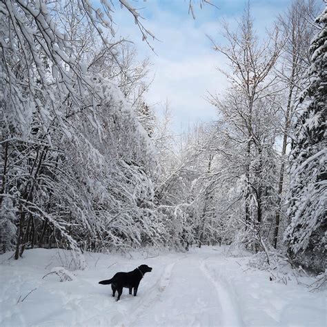 One Perfect Winter Day in Marquette, Michigan: A Local's Guide — Em's On The Road