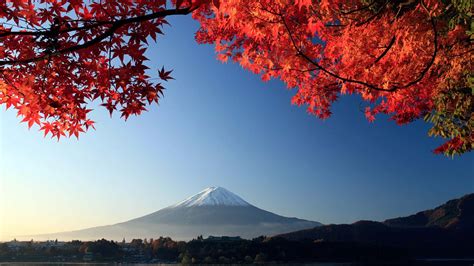 Download The beauty of Fujisan in Japan Wallpaper | Wallpapers.com