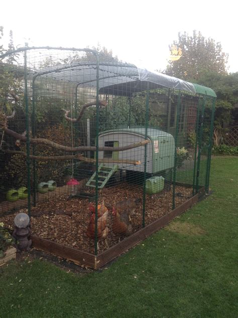 Walk in Chicken Run | Large Outdoor Chicken Enclosure