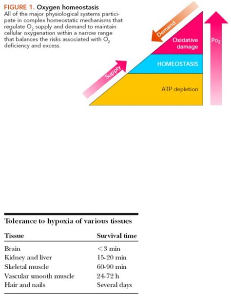 Hypoxia and Anoxia.docx - OneClass