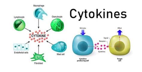 Cytokines