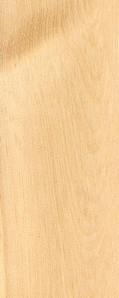 Limber Pine | The Wood Database - Lumber Identification (Softwood)