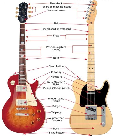 Parts Of The Guitar – The Fretted String