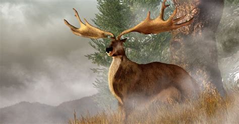 When Did the Irish Elk Go Extinct? - AZ Animals